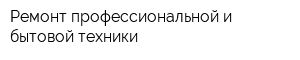 Ремонт профессиональной и бытовой техники
