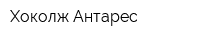 Хоколж Антарес