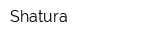 Shatura