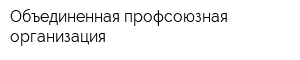 Объединенная профсоюзная организация