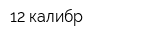12 калибр