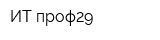 ИТ проф29