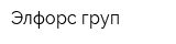 Элфорс груп