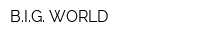 BIG WORLD
