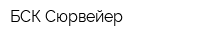 БСК-Сюрвейер