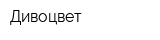 Дивоцвет