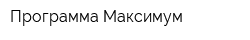 Программа Максимум
