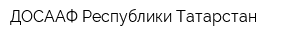 ДОСААФ Республики Татарстан