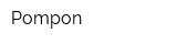 Pompon