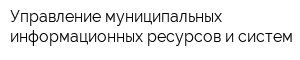 Управление муниципальных информационных ресурсов и систем