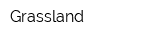 Grassland