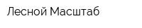 Лесной Масштаб