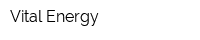 Vital Energy