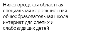 Нижегородская областная специальная коррекционная общеобразовательная школа-интернат для слепых и слабовидящих детей