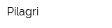 Pilagri