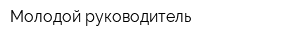 Молодой руководитель