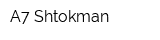 А7-Shtokman