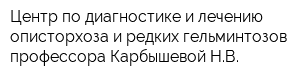 Центр по диагностике и лечению описторхоза и редких гельминтозов профессора Карбышевой НВ