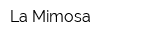 La Mimosa
