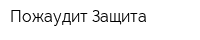 Пожаудит Защита