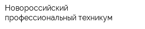 Новороссийский профессиональный техникум