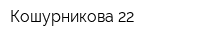 Кошурникова 22