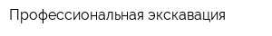 Профессиональная экскавация