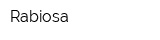 Rabiosa