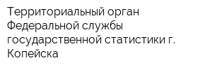 Территориальный орган Федеральной службы государственной статистики г Копейска