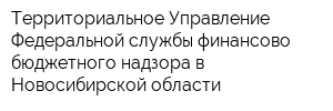 Территориальное Управление Федеральной службы финансово-бюджетного надзора в Новосибирской области