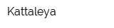 Kattaleya