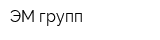 ЭМ групп