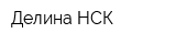Делина НСК