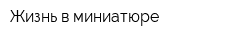 Жизнь в миниатюре