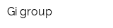 Gi-group