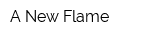 A New Flame