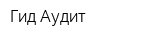 Гид-Аудит