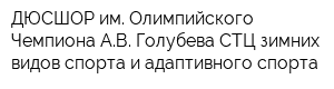 ДЮСШОР им Олимпийского Чемпиона АВ Голубева-СТЦ зимних видов спорта и адаптивного спорта