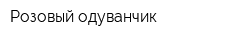 Розовый одуванчик