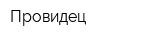 Провидец