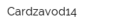 Cardzavod14