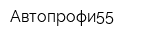 Автопрофи55