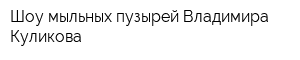 Шоу мыльных пузырей Владимира Куликова