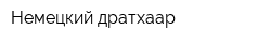 Немецкий дратхаар