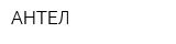 АНТЕЛ
