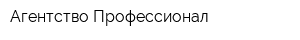 Агентство Профессионал