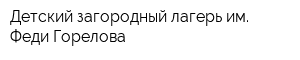 Детский загородный лагерь им Феди Горелова