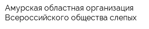 Амурская областная организация Всероссийского общества слепых