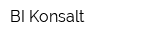 BI Konsalt