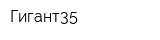 Гигант35